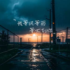 我等风等雨等不到你（DJ版）