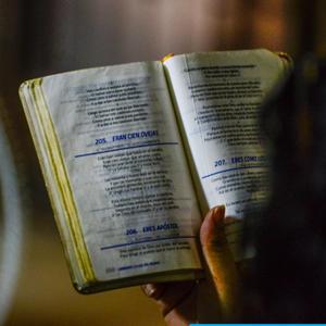 Haz hecho mil maravillas