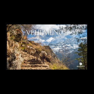 Vehemence