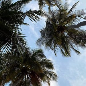 Rocking On The Floor（3D 环绕版）（Salao remix）