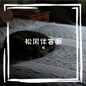 松风伴客眠