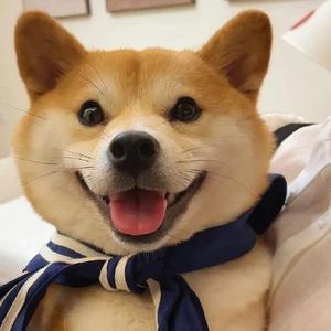 王恩信Est-你走以后刘聪Remix（刘聪 remix）