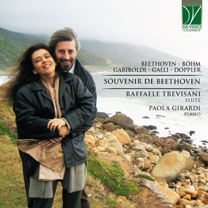 Serenade in D Major, Op. 8:II. Minuet. Allegretto