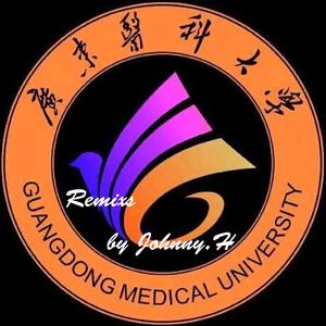 GDMU Disco (Instrumental)