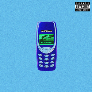 ROAMING