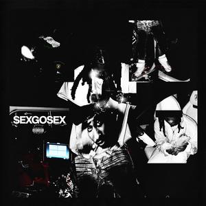 SEXGOSEX