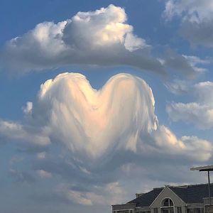 长街万象（光遇弹琴）