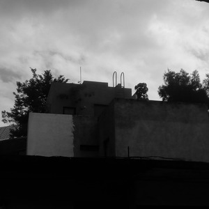 Animos