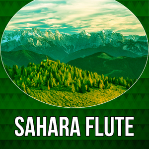 Soothing Nature Sounds