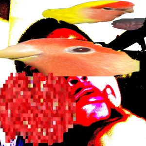 没有金钱就么日语8自由意思自助游湖i81uya`