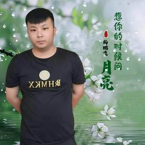 想你的时候问月亮