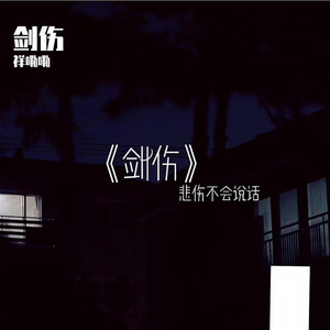 剑伤 (32秒片段)