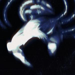 spiral (feat. tigerstar)