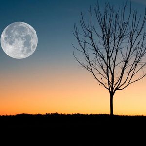 远方的姑娘（助眠轻音乐）