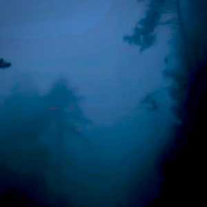 What Are You Looking For?