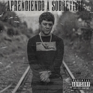 Aprendiendo a Sobrevivir