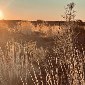 Extraordinary Ordinary