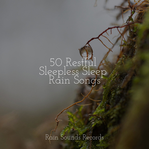 Swift Current Dreams