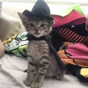 唉！我的叹气太刻意