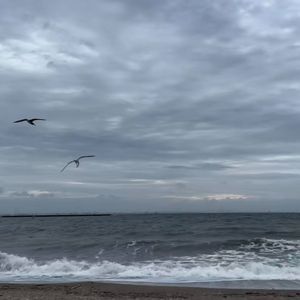 今日から思い出（翻自Aimer）