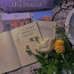 月亮是你我是你的潮汐