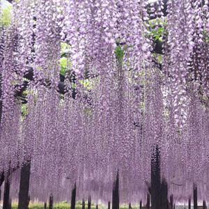 今日まで本当にありがとう