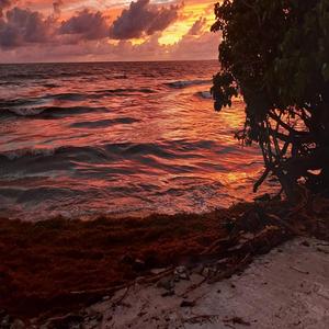 Bésame en este final de cuentos rotos
