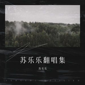 像蒲公英一样的誓言 (苏乐乐 remix)