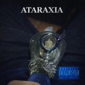 Velocity (feat. DeeBrizzy)