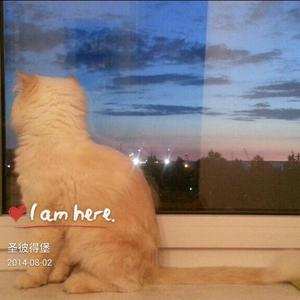 悲伤钢琴beat