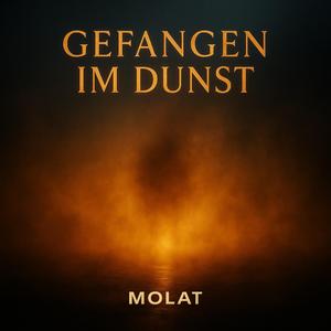 Gefangen im Dunst