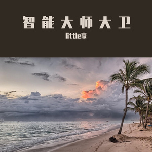 智能大师大卫ttyt