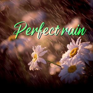 Perfect Rain