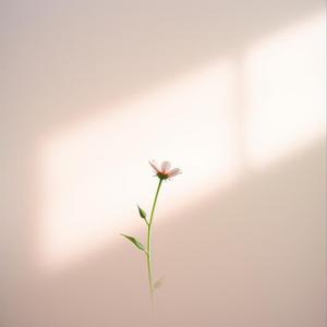 有些人錯過就是一生