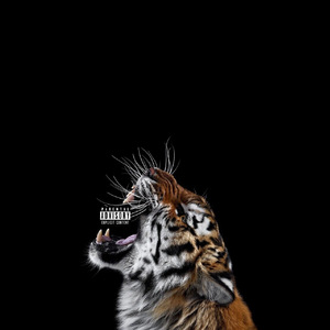 1800(Cover Dr.dre)（Bang Bang Remix）