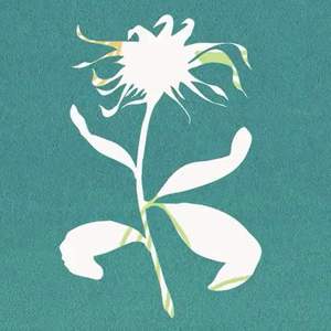 flos
