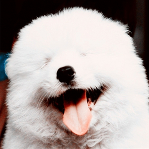 那些仿佛伸手就能碰到的星星