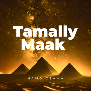 Tamally Maak (Aymoune Arabic Afro House Remix)