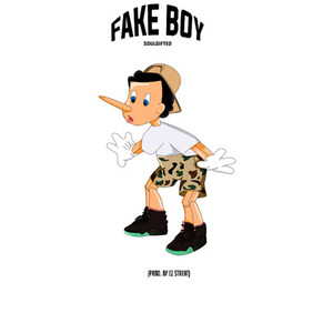 Fake Boy