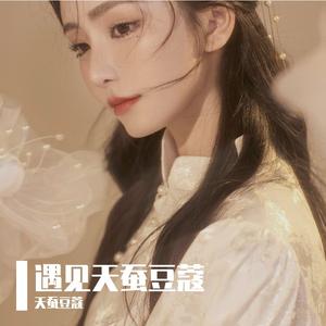 孙燕姿-遇见-钢琴演奏版（天蚕豆蔻 remix）