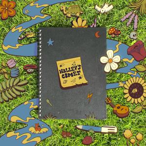 Halley's Comet