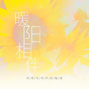 暖阳相伴 伴奏