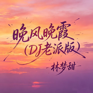 晚风晚霞(DJ老派版)