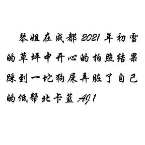 琴姐在成都2021年初雪的草坪中开心的拍照结果踩到一坨狗屎弄脏了自己的低帮北卡蓝AJ1