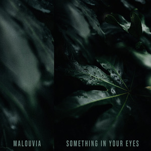 Something In Your Eyes