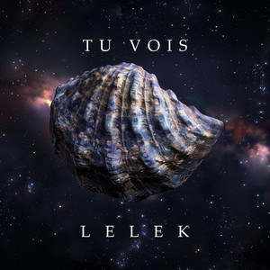 Te voir (tu vois)