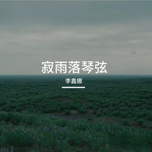 寂雨落琴弦