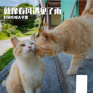 就像春风遇见了雨 演唱版