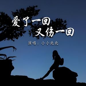 爱了一回又伤一回