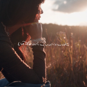 เหลือแค่เพียงความฝัน (Faint dream)